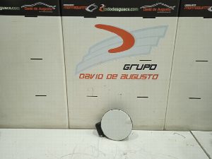 TAPA EXTERIOR COMBUSTIBLE FIAT PUNTO (199) 2013
