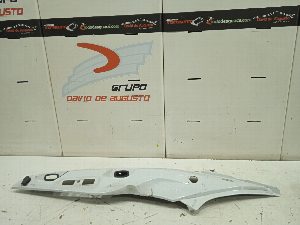 CARENADO BMW R 1200 GS/R/HP2 2008